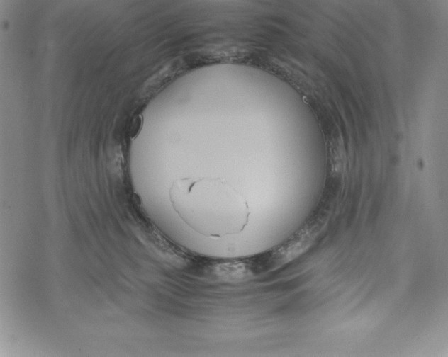 X0000072500279200608041449