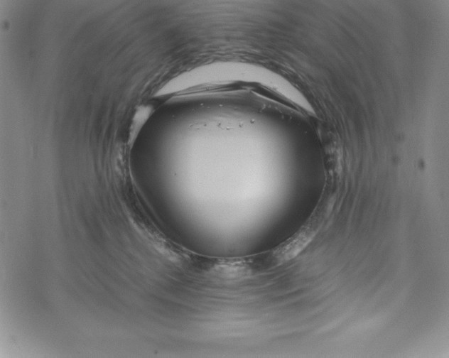 X0000072500280200608041449