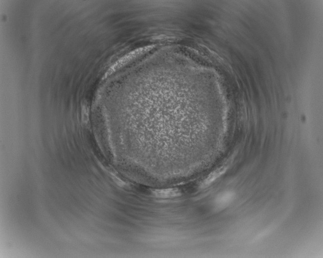 X0000072500281200608041449