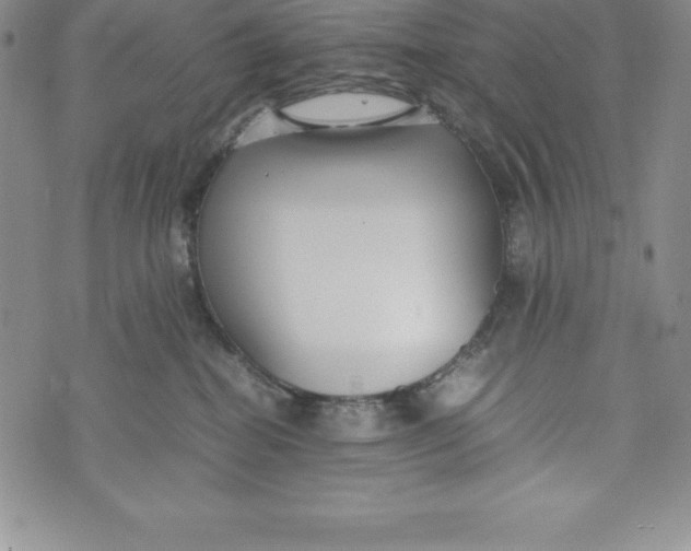 X0000072500282200608041449