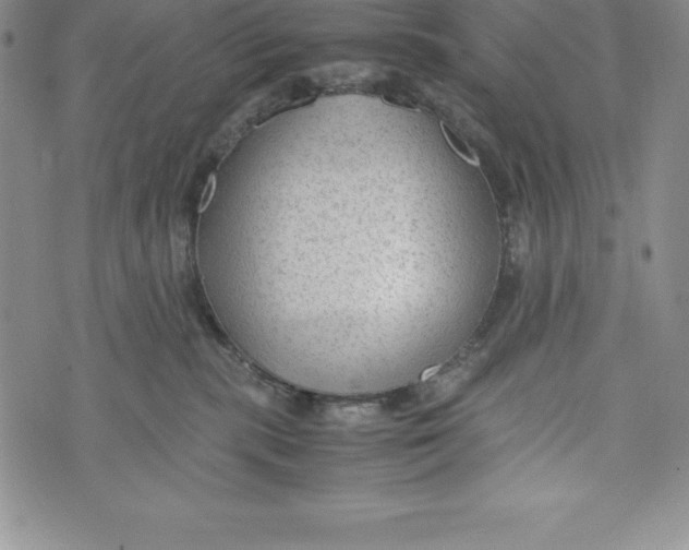 X0000072500283200608041449