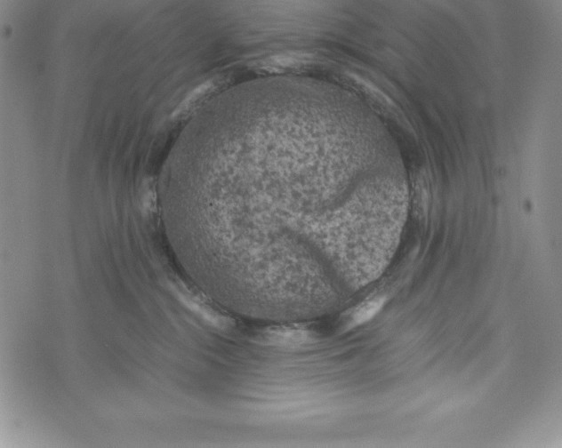 X0000072500284200608041449