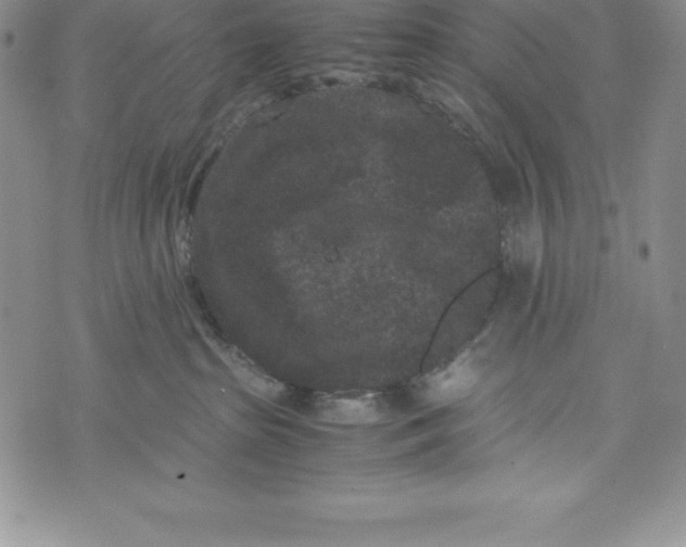 X0000072500285200608041449