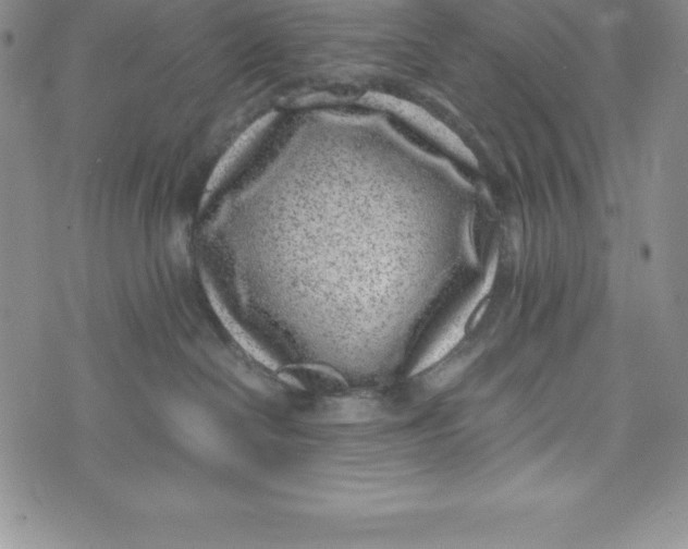 X0000072500286200608041449