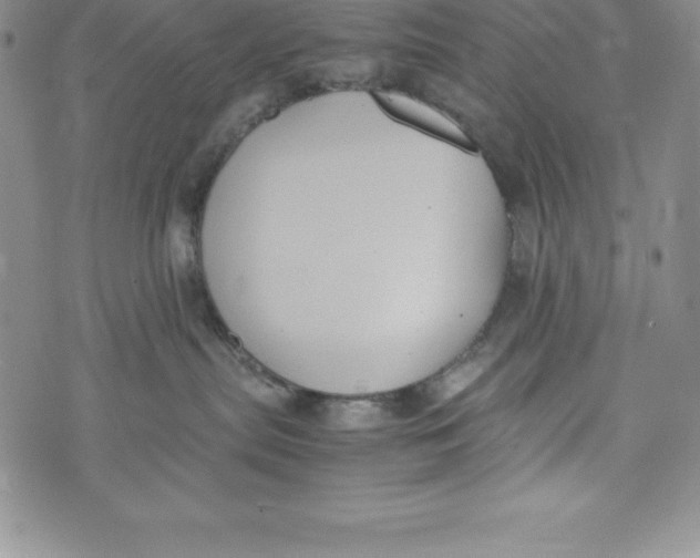 X0000072500287200608041449