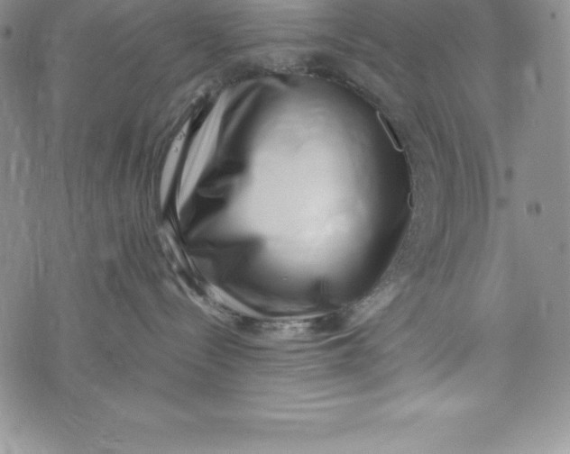 X0000072500288200608041449