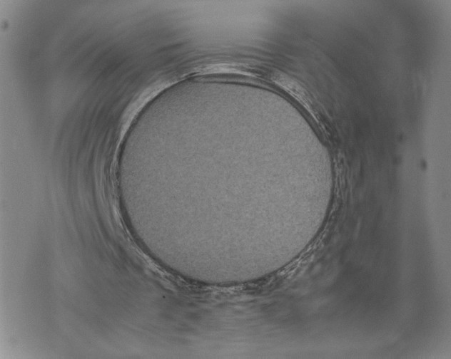 X0000072500289200608041448