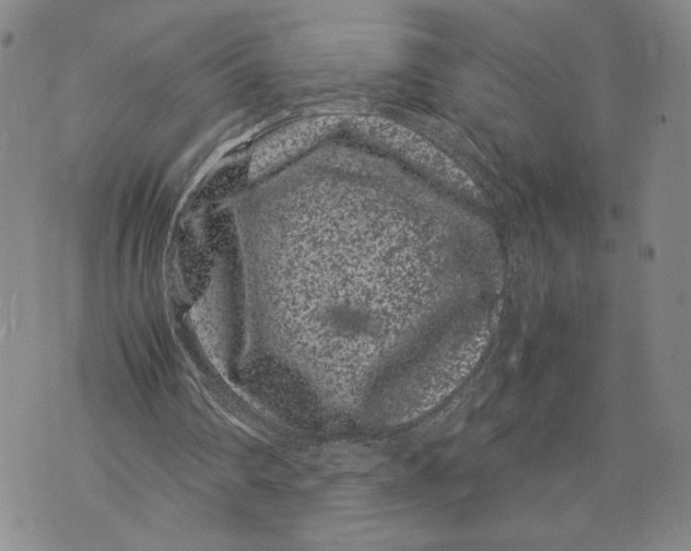 X0000072500290200608041448