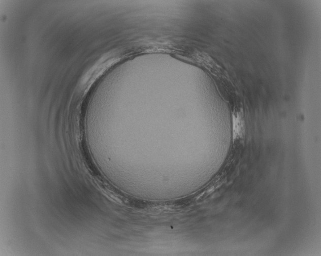 X0000072500291200608041448