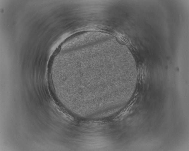 X0000072500292200608041448