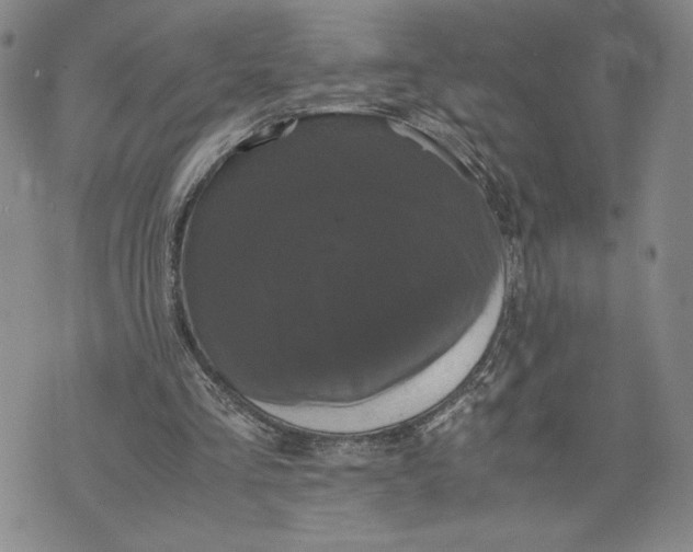 X0000072500293200608041448