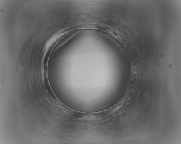 X0000072500294200608041448