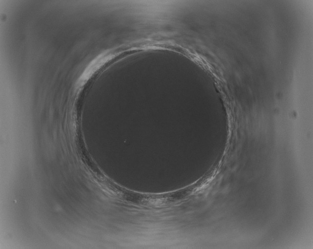 X0000072500295200608041448