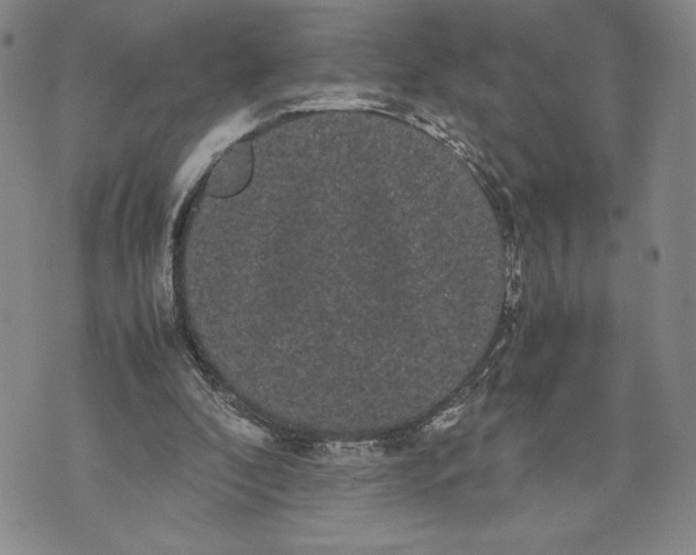 X0000072500296200608041448