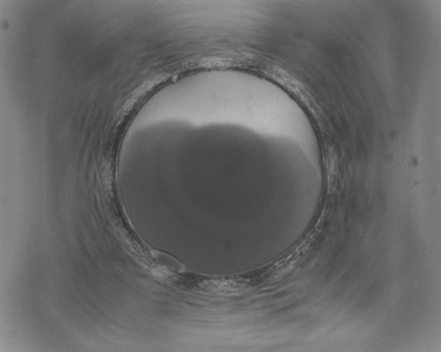 X0000072500297200608041448