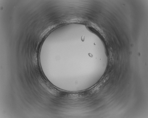 X0000072500298200608041448