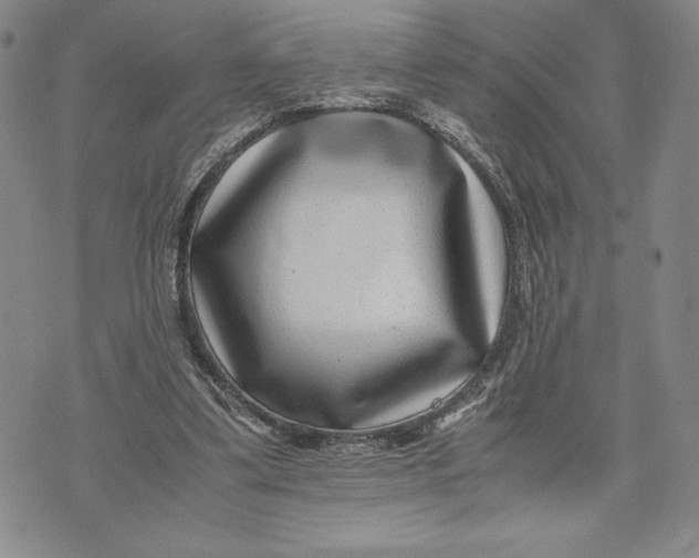 X0000072500299200608041448