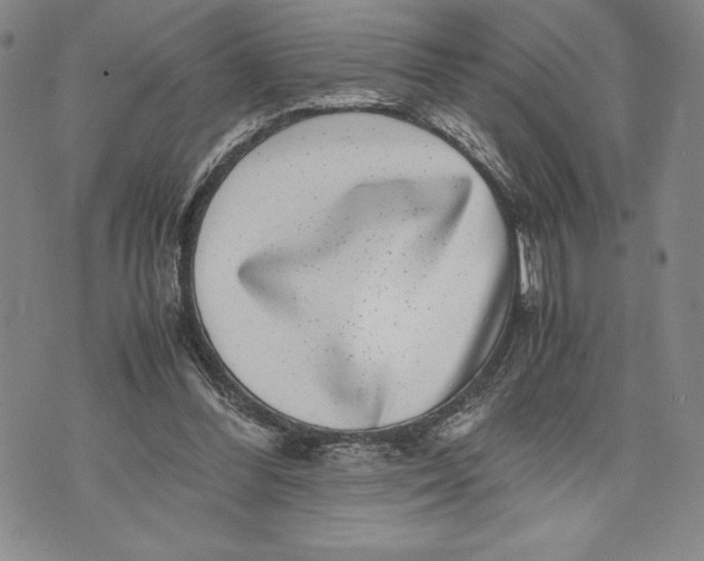 X0000072500300200608041448