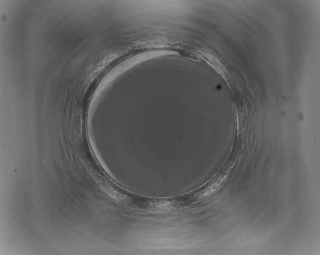 X0000072500301200608041448