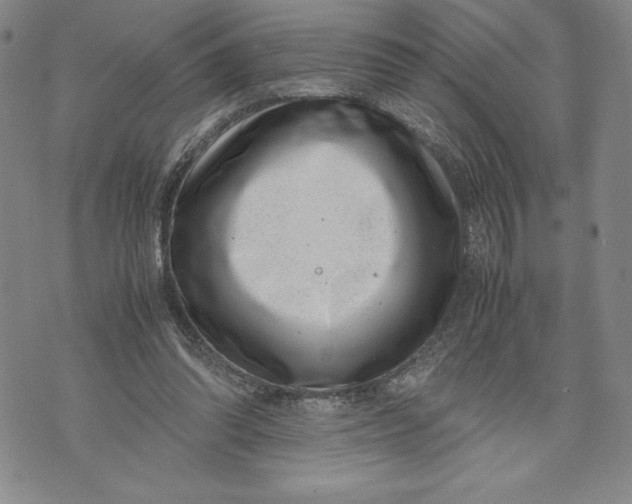 X0000072500302200608041448