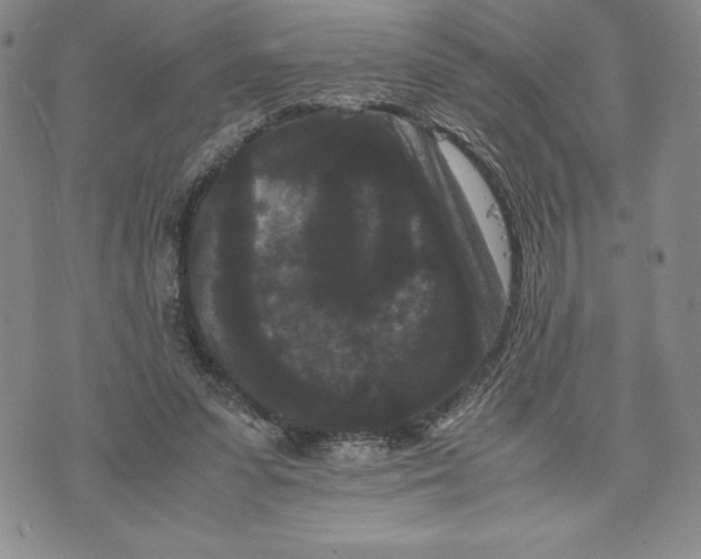 X0000072500303200608041448