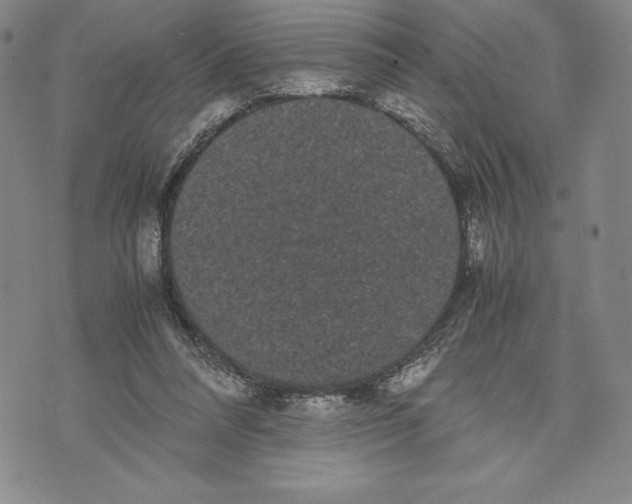 X0000072500304200608041448