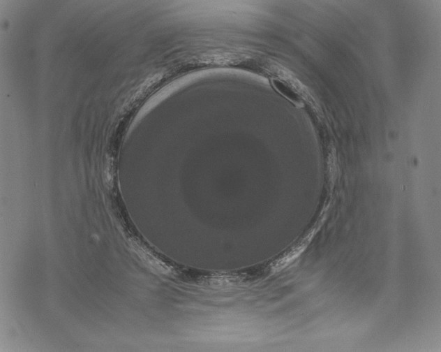 X0000072500305200608041448