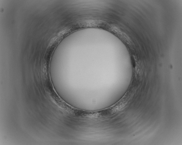 X0000072500306200608041448