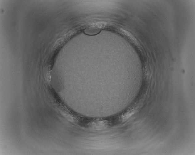 X0000072500307200608041448