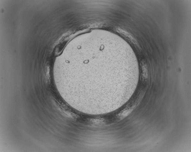 X0000072500308200608041448