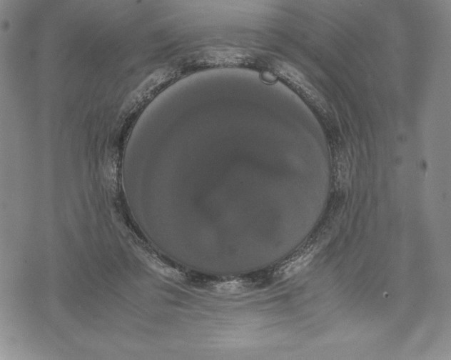 X0000072500309200608041448