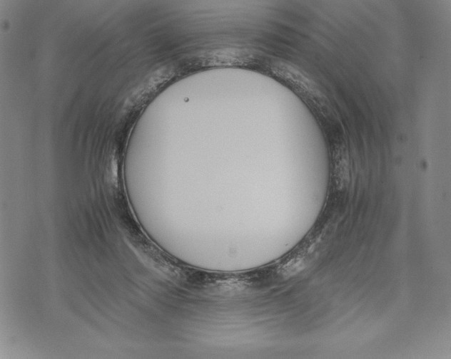 X0000072500310200608041448