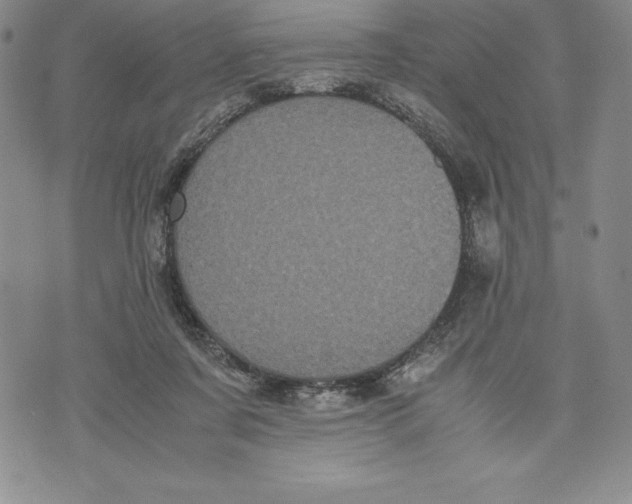 X0000072500311200608041448