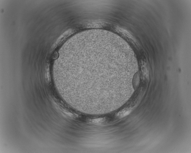 X0000072500312200608041448