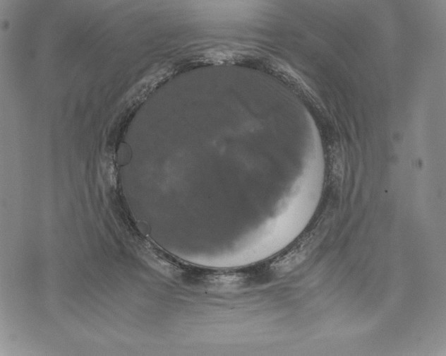 X0000072500313200608041448