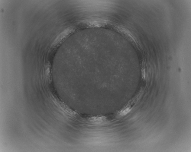 X0000072500314200608041448