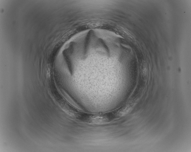 X0000072500315200608041448