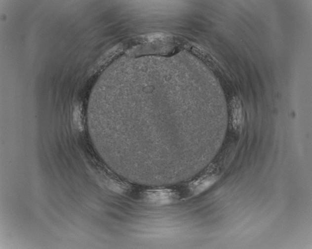 X0000072500316200608041448