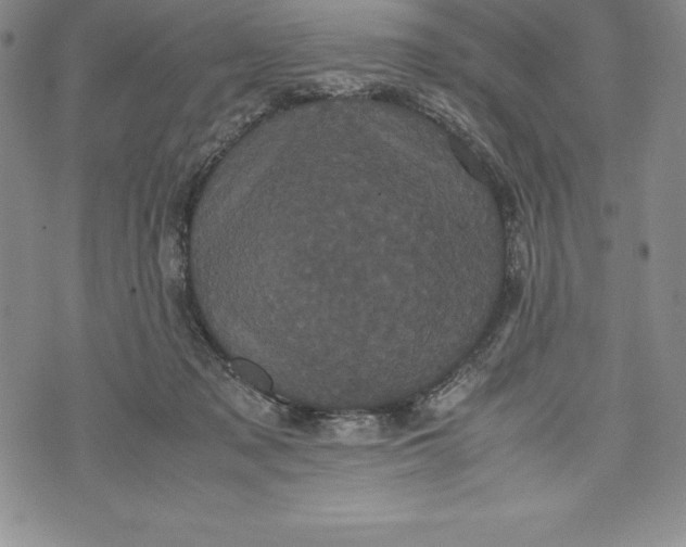 X0000072500317200608041448