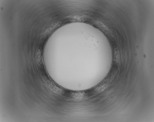 X0000072500318200608041448