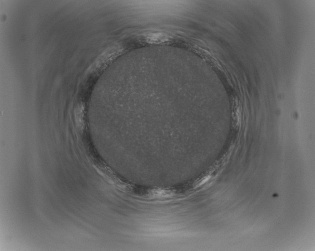 X0000072500319200608041448