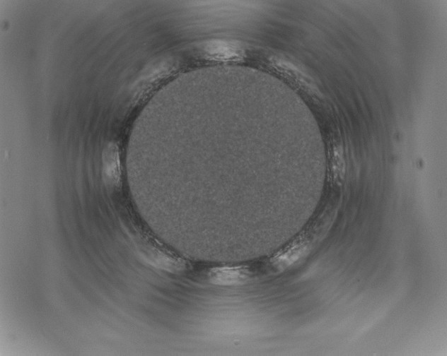 X0000072500320200608041448