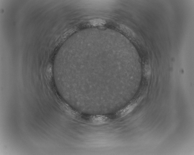 X0000072500321200608041448