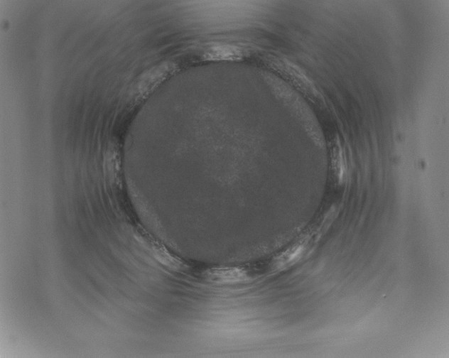 X0000072500322200608041448