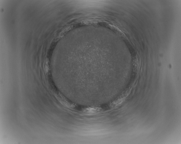 X0000072500323200608041448