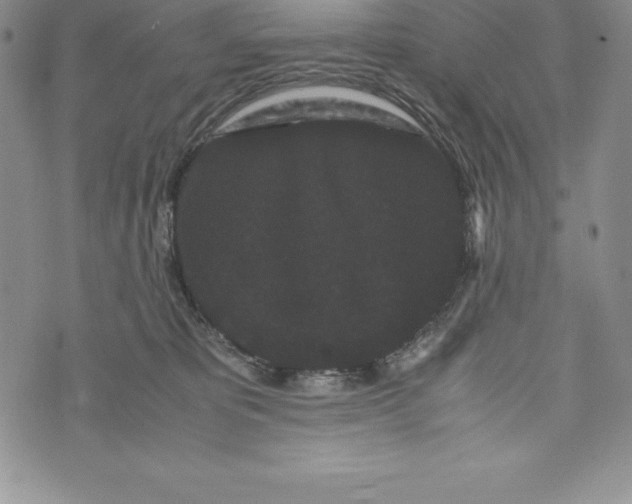 X0000072500325200608041447