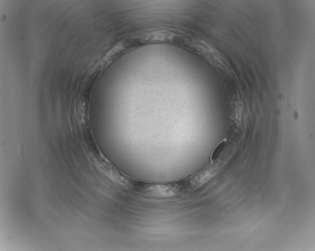 X0000072500326200608041447