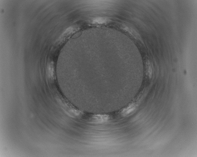 X0000072500328200608041447