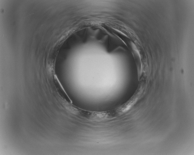 X0000072500329200608041447