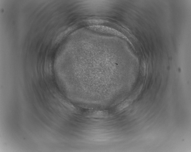 X0000072500330200608041447